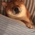 yLMMM头像