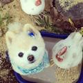 睿睿141104头像