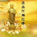 南无阿弥陀佛5566头像