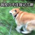 飞光143头像