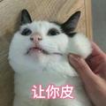 会飞的蜗牛k1 · 伊兰特车主·车龄3年头像