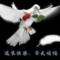 用户7686082609374头像