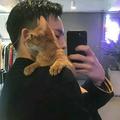 猫十一194头像