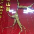 贾敏667头像