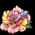 张伟6426头像