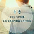 明晚还要打老虎头像