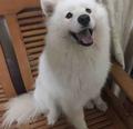 amylz头像