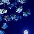 听雨亭573头像