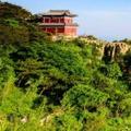 谢小华808头像