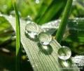 小雨59100头像