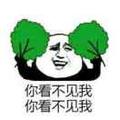 小白16724头像