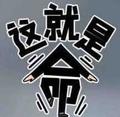 这就是命Lw头像