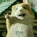LB来包红双囍头像