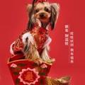 用户93397218470头像