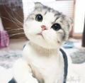 隨性144496946头像