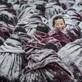 杰克丹尼561头像