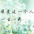 2018寻梅头像
