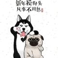 竖写初心 · 宋Pro车主·车龄5年头像