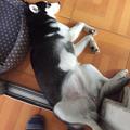 优秀体智能老师头像