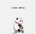 风中追风zZ头像