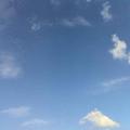 白菜汤113头像