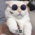 捶我头像