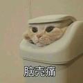 用户4037496586593头像