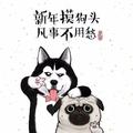 玛卡巴卡的火车头像