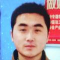 高乐高头像