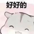 Dgguh1块头像