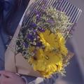 eunha175头像