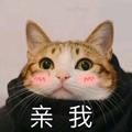 yuyukii头像