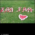 曾珊珊485头像