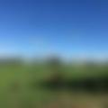 边走边看3883头像