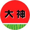 西瓜大神头像