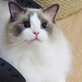 慕染汐851头像