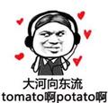 李大喵的大喵头像