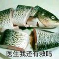 细心菠萝8N4头像