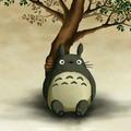 无双暖阳CyH头像