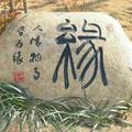 灿烂的阳光8425头像