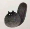 两个愿望y头像