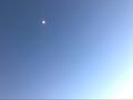 youaremysun164321361头像
