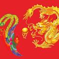 龙凤4516头像