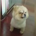 青涩精灵EWx头像