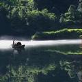 随波逐流1786头像