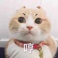 絮尔785 · 君威车主·车龄4年头像