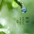 万水千山5475头像
