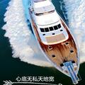 刷子556头像