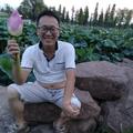 天马11059238头像