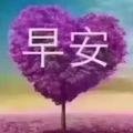 沙漠风暴28888头像